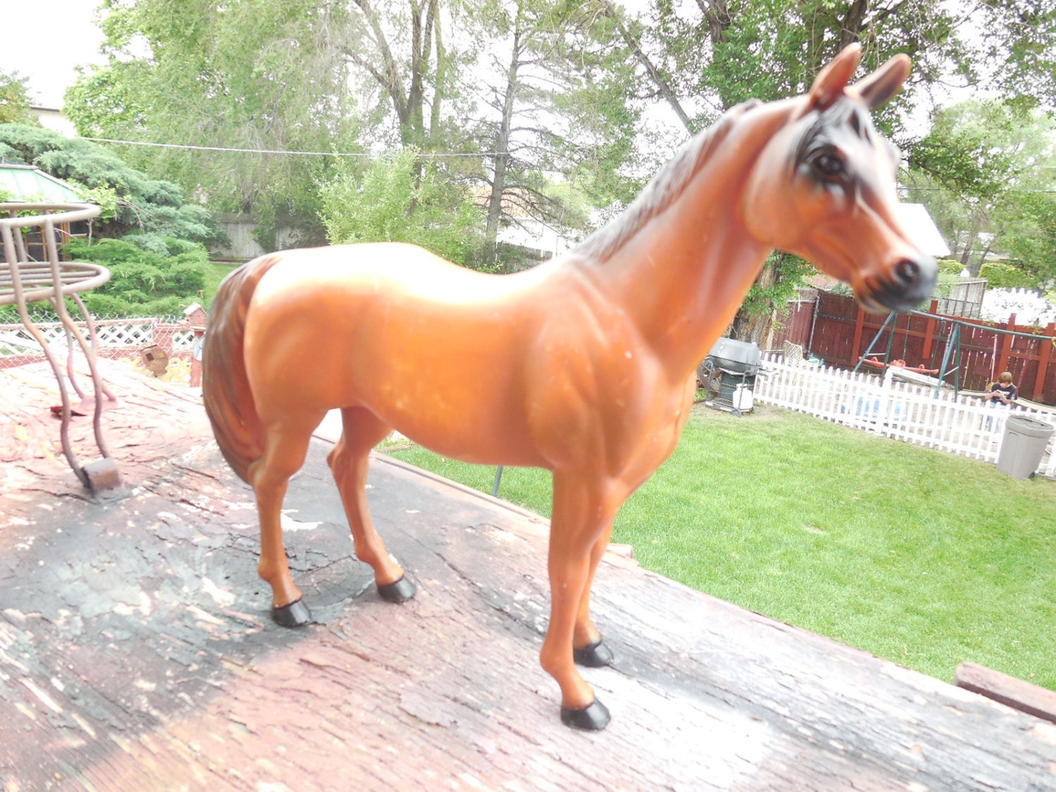 Blue Ribbon Brown Horse