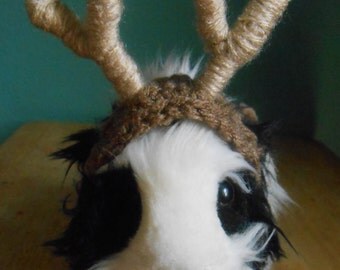 Guinea Pig Antler Hat, Guinea Pig or Ferret Clothes, Bearded Dragon Antlers, Pet Halloween Reindeer Antlers Costume, Tiny Pet Outfit