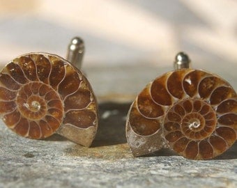 Ammonite Cufflinks - Ammonite, Fossil, Gifts for Men, Formal, Wedding, Father's Day, Gift for Dad, Fossil, Groomsman Gift, Teacher Gift