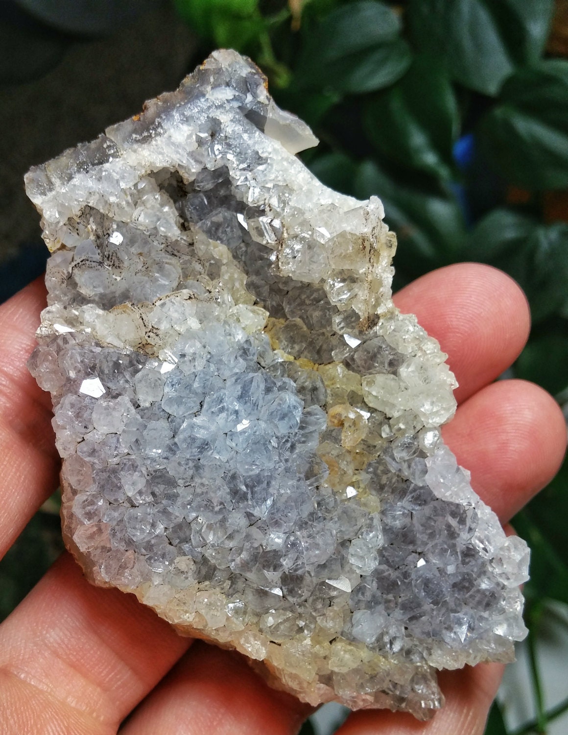 Clear Quartz Crystal Cluster from Oregon