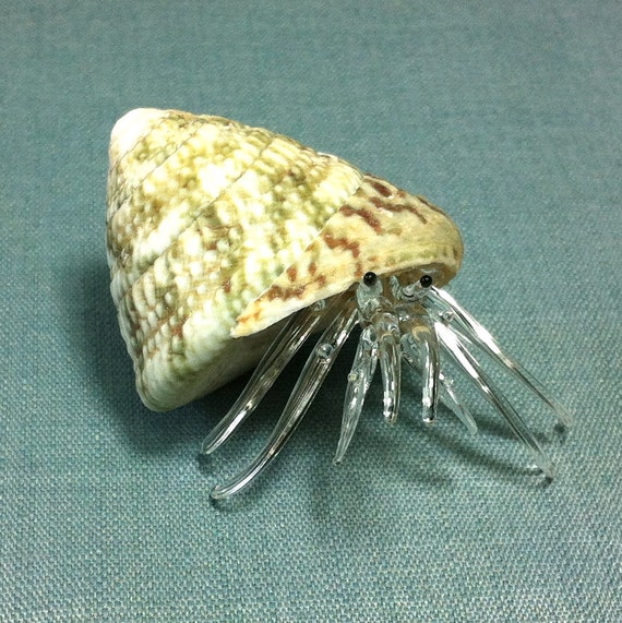 blown glass hermit crab shell