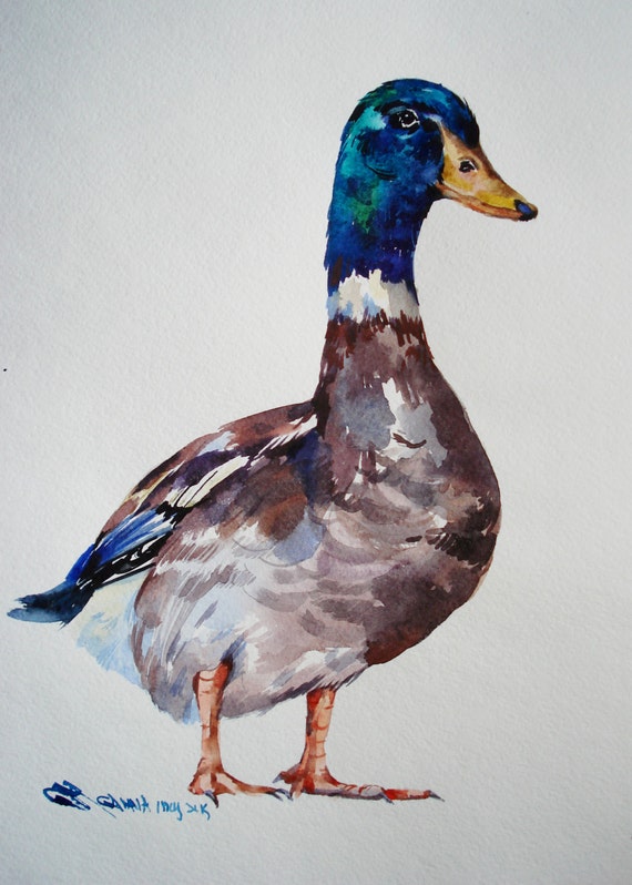 Wild Duck Bird Original Watercolor Hand-painted painting