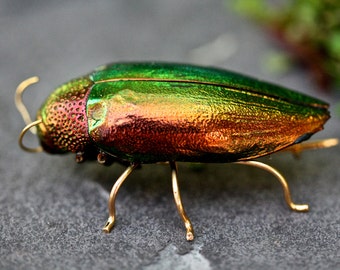 Bettle Brooch REAL. Red or green, insect, taxidermy, buttonhole, alternative wedding, jewelry, ethnic, boho, exotic, wings, shell,83