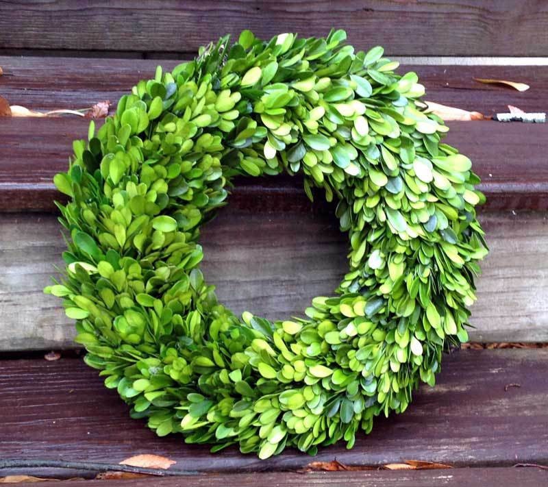 Preserved Real Boxwood Wreath /14 inch/indoor wreath /wall