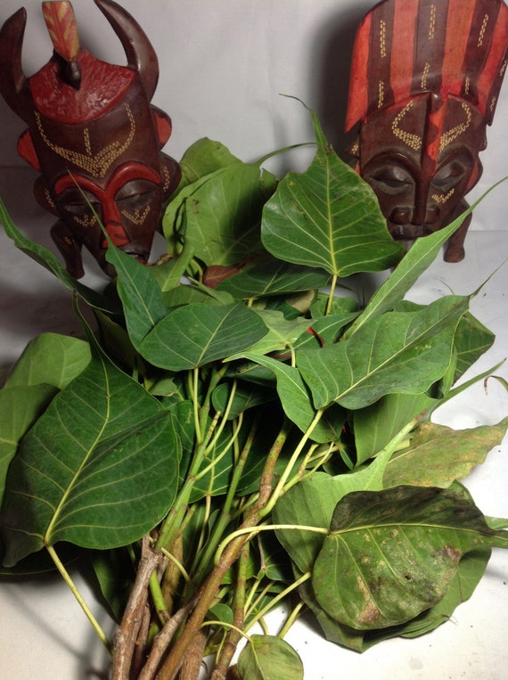 Symbolic and Religious Facts Yoruba