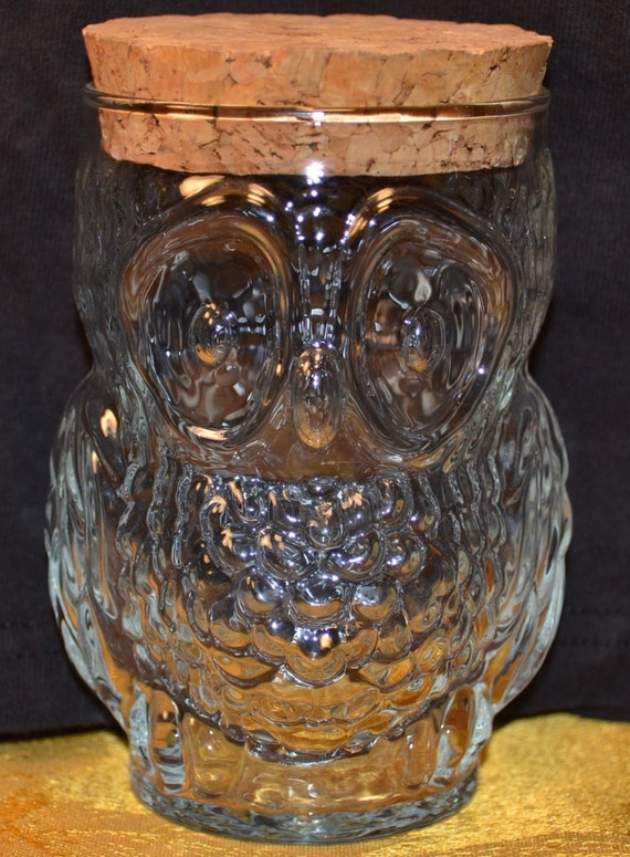 Vintage 70's Glass Owl Jar w/ Cork Lid Clear Canister