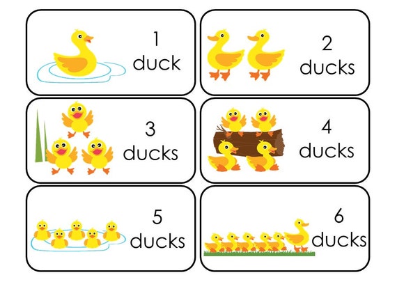 Items similar to Download and print your own Duck Flash Cards ...