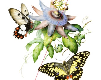 Passion fruit flowers and butterflies - Temporary tattoo