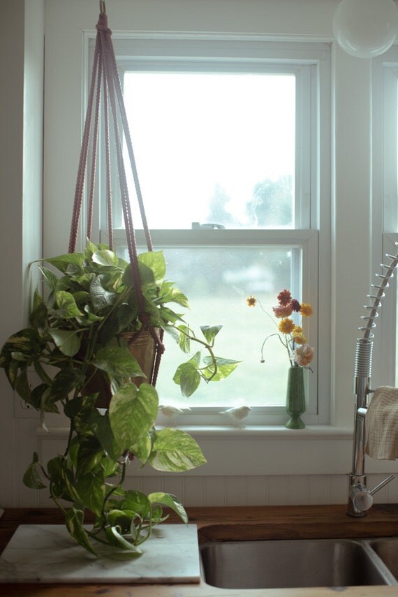 Items similar to Hanging Planter on Etsy
