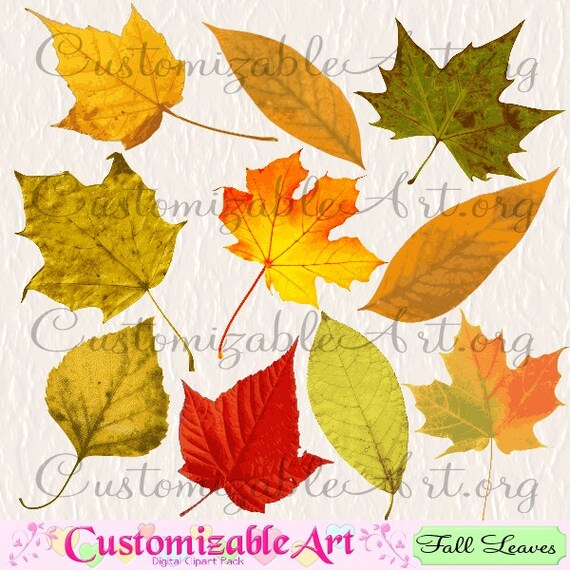 Fall Leaf Clipart Fall Leaves Clip Art Digital Leaf Clip Art