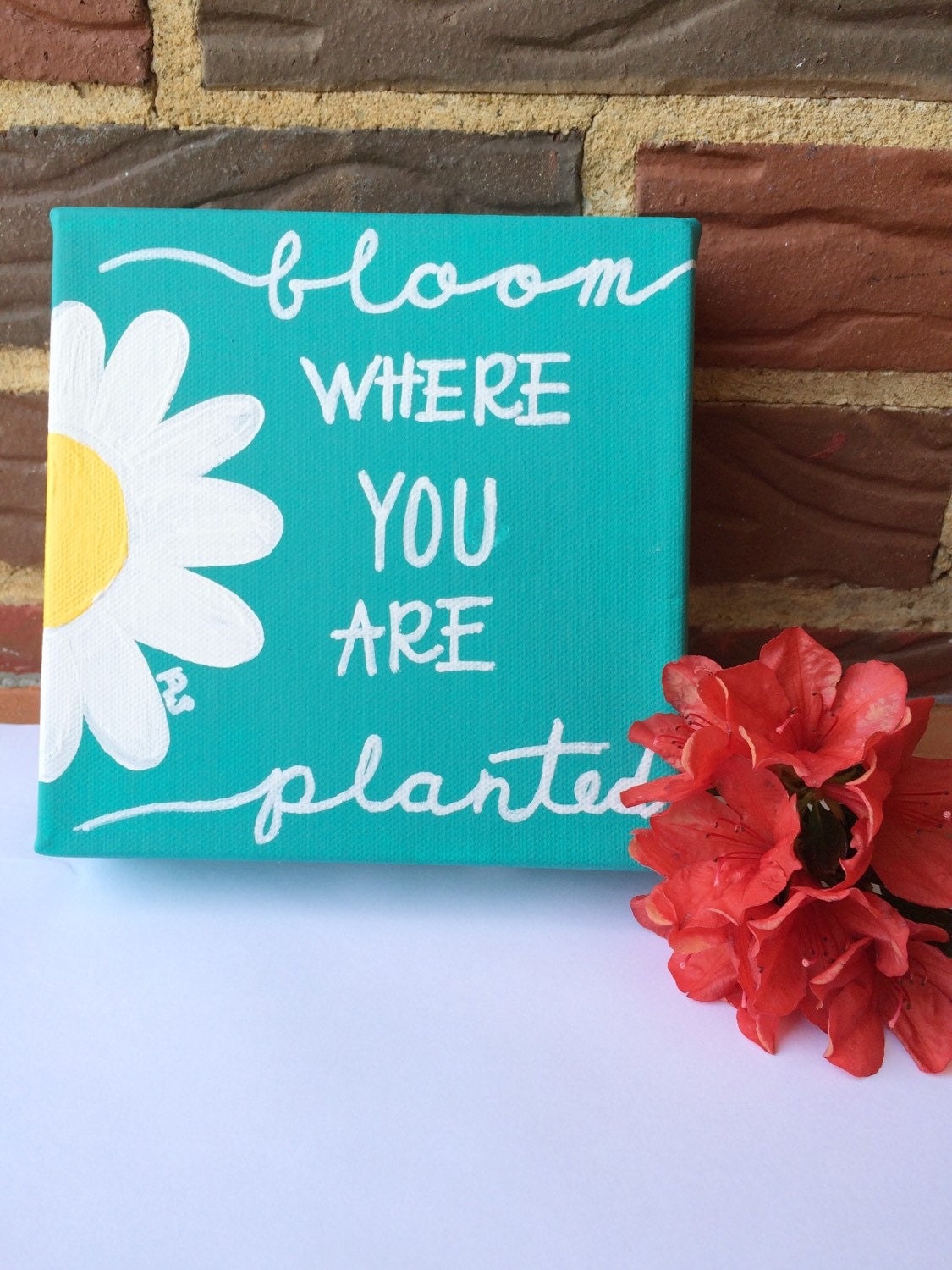 Bloom where you planted