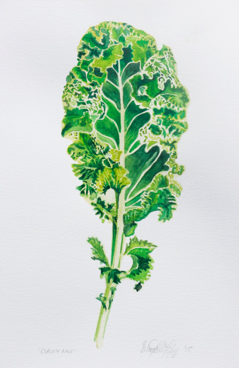 Curly Kale Fine Art Print Leafy Green Watercolor Series
