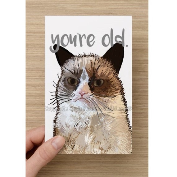 Grumpy Cat Birthday Card Old Old-age Aging by ExGirlfriendsCards