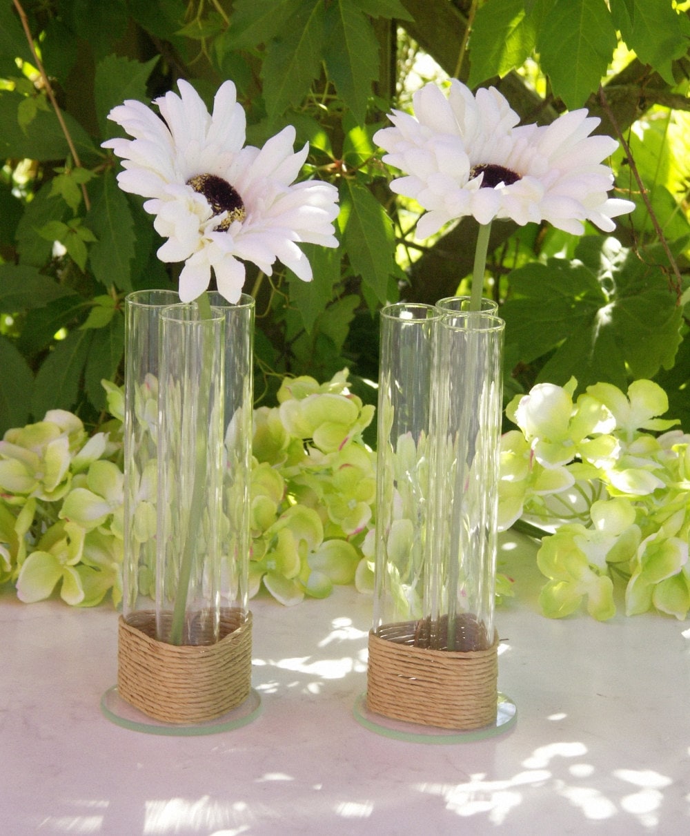 Decorative Test Tube Vase