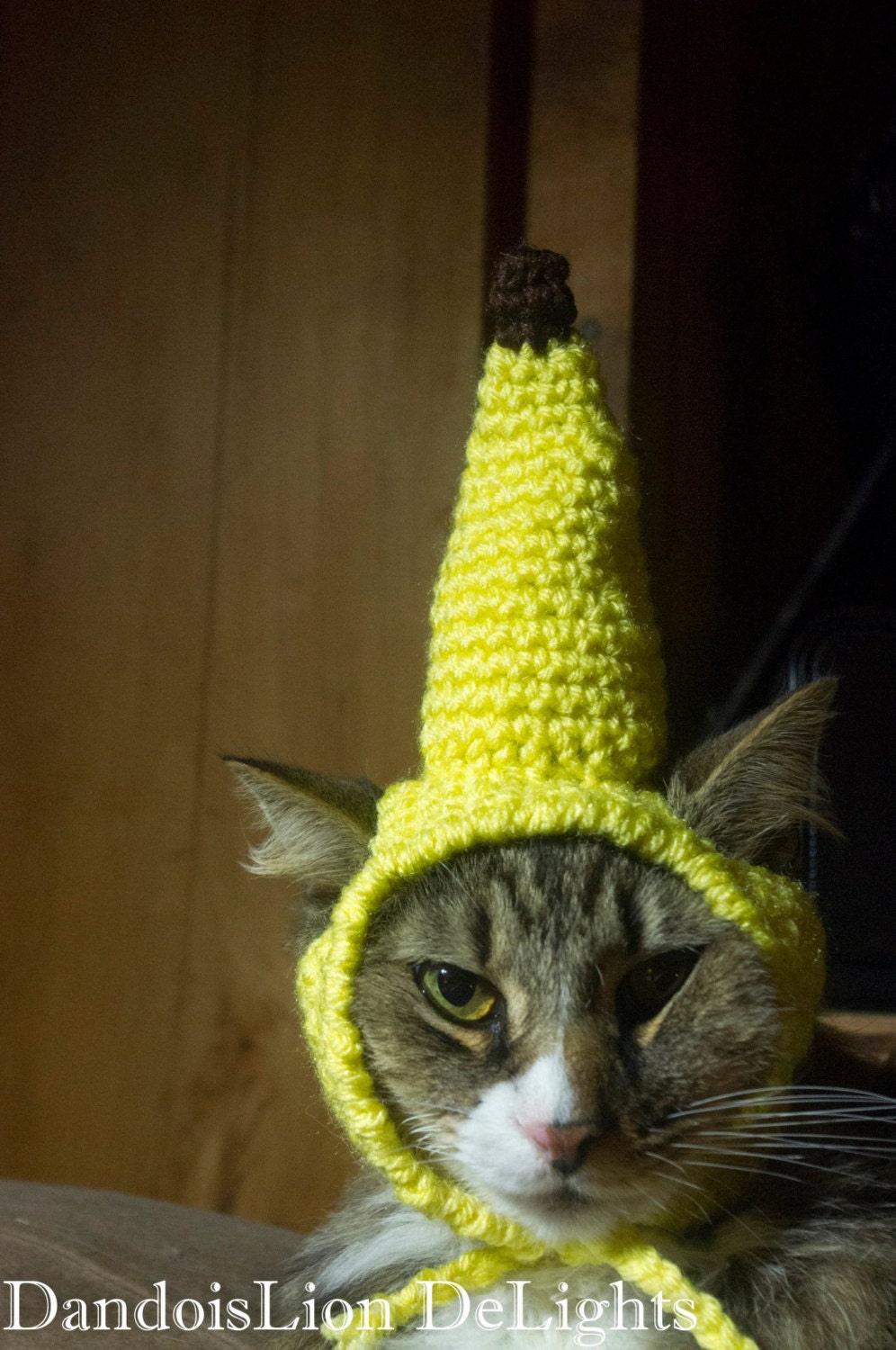 Custom Crochet Banana Hat for your Pet Custom Order Cat