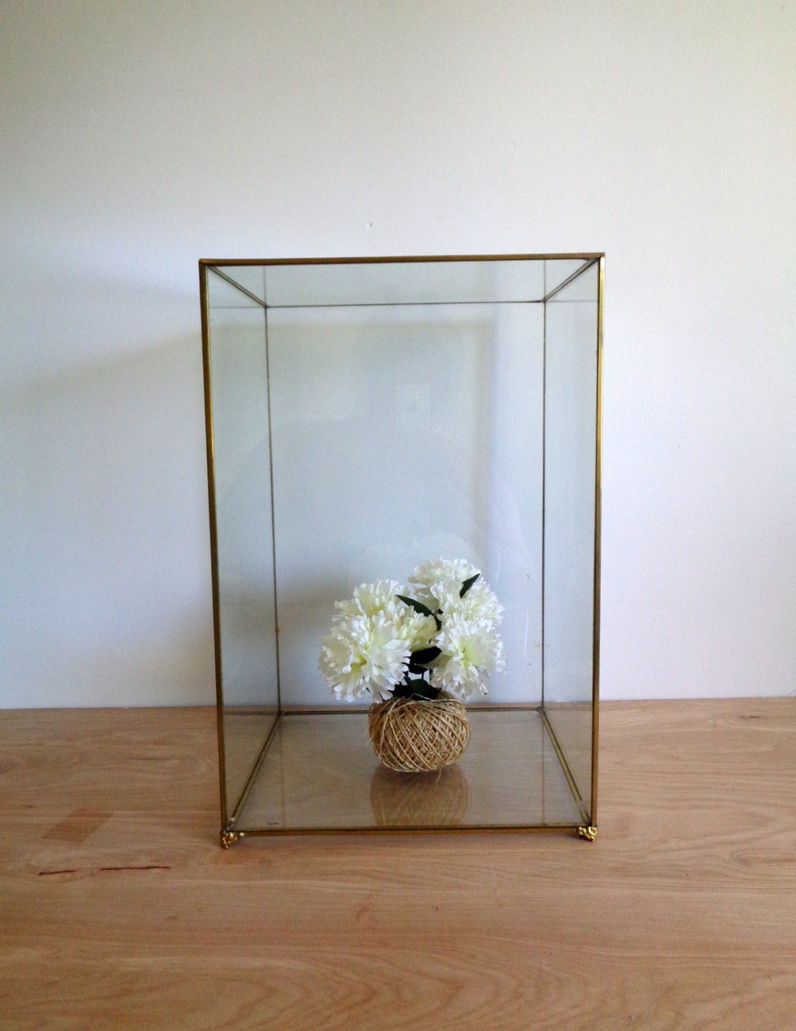 Elegant Glass Display Cases For Collectibles