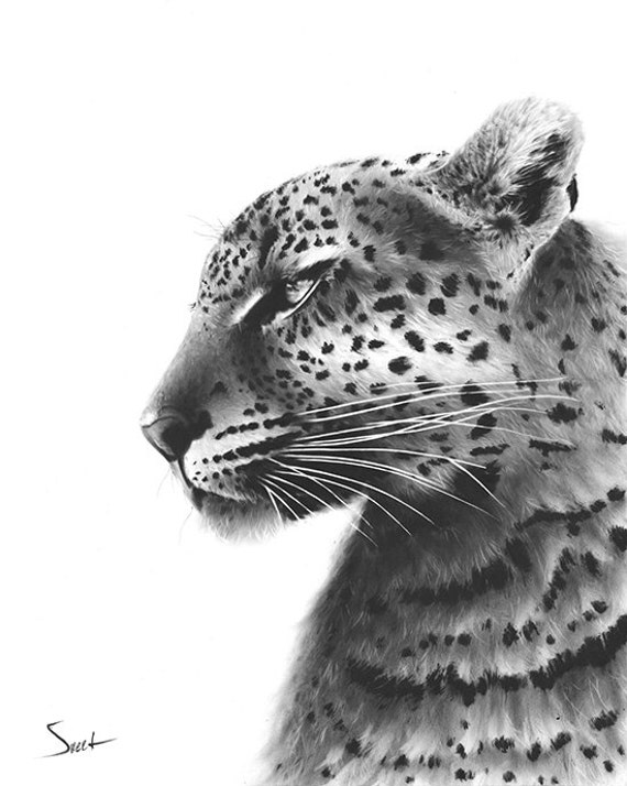 LEOPARD PAINTING original oil painting leopard artwork