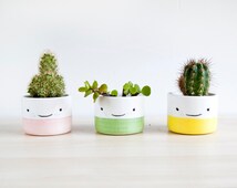Flower Pots and Planters