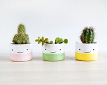 Flower Pots and Planters