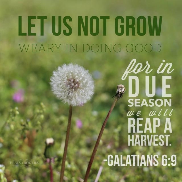 Let Us Not Grow Weary by picturesNscriptures on Etsy