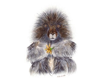 Animal Wall Art, Porcupine Watercolor Art, Baby Porcupine, Home Decor, Wildlife Print, Animal Portrait, Baby Animal Portrait