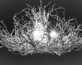 The Queen - 6 Light - White Chandelier - Rustic Chandelier - White Twig Chandelier - Branch Light - Handcrafted - OOAK - White Twig Light The Queen - 6 Light - White Chandelier - Rustic Chandelier - White Twig Chandelier - Branch Light - Handcrafted - OOAK - White Twig Light