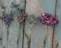 purple dried flowers