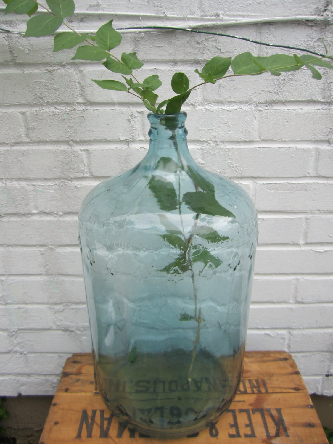 Vintage Carboy Jug Blue Glass 5 Gallon Embossed Trees on