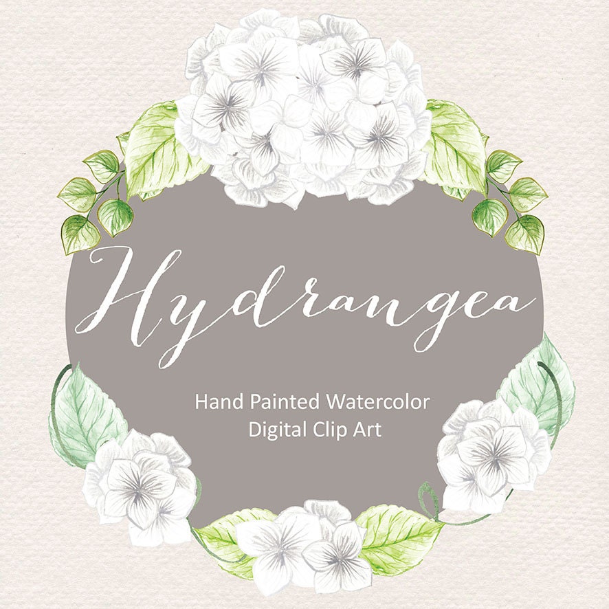 free clip art hydrangea flowers - photo #38