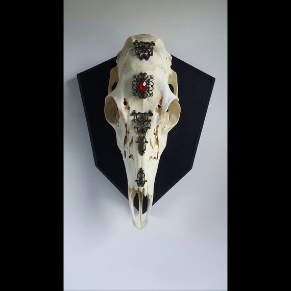 Deer Skull Decor Mount