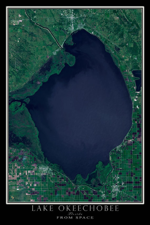 Lake Okeechobee Florida Satellite Poster Map by TerraPrints