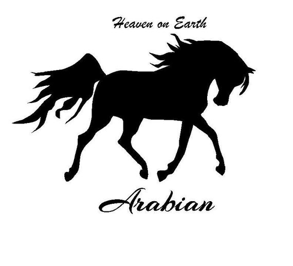 Arabian Horse Decal Arabian Decal Horse Phone by VinylArtworks4u