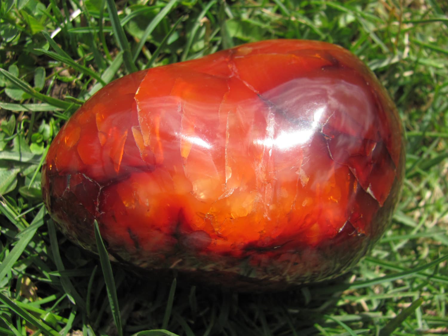 Deep Red Carnelian Gemstone Large Carnelian by GriffinMinerals