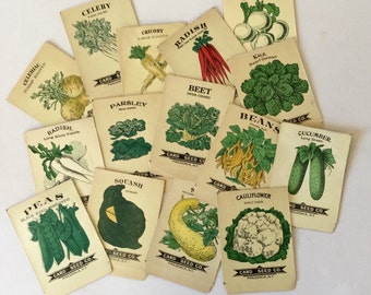 Garden Seed Packs Vintage Lithograph Vegetable Herb Packets Set of 3
