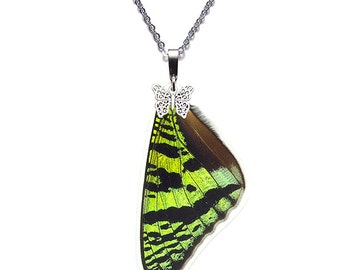 Real Butterfly Wing Necklace (Sunset Moth Forewing - N005)