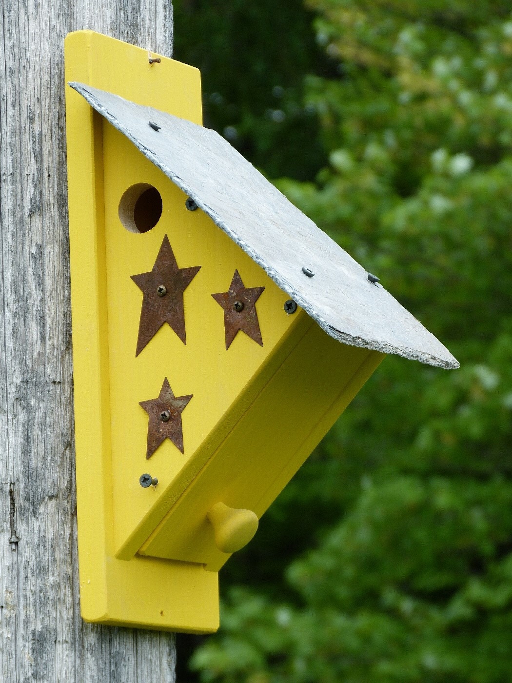 Nuthatch Birdhouse Nest Box