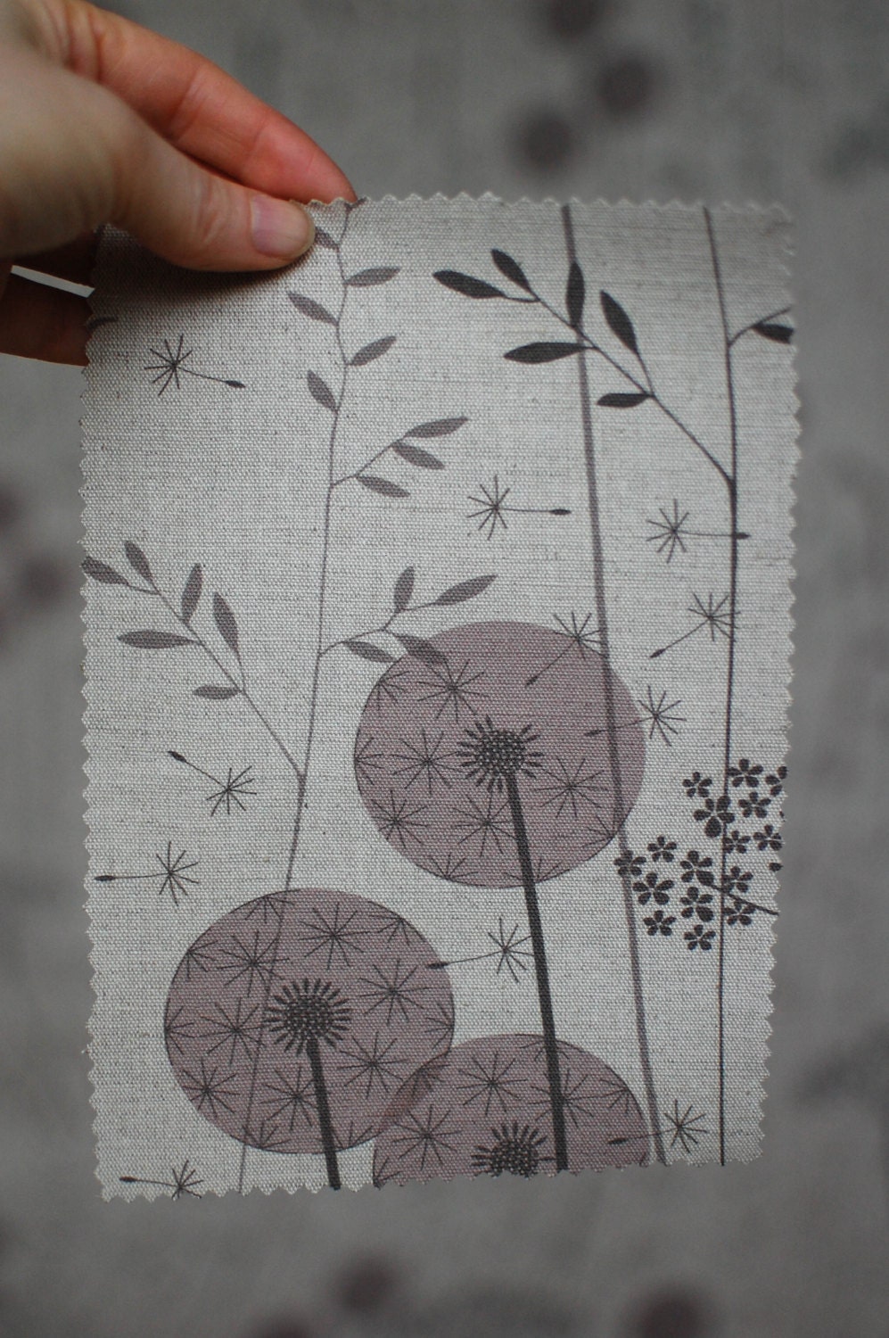 Meadow creative writing picture