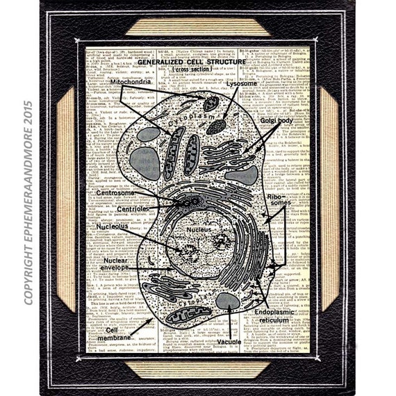 CELL Structure art print wall decor anatomy medical science on