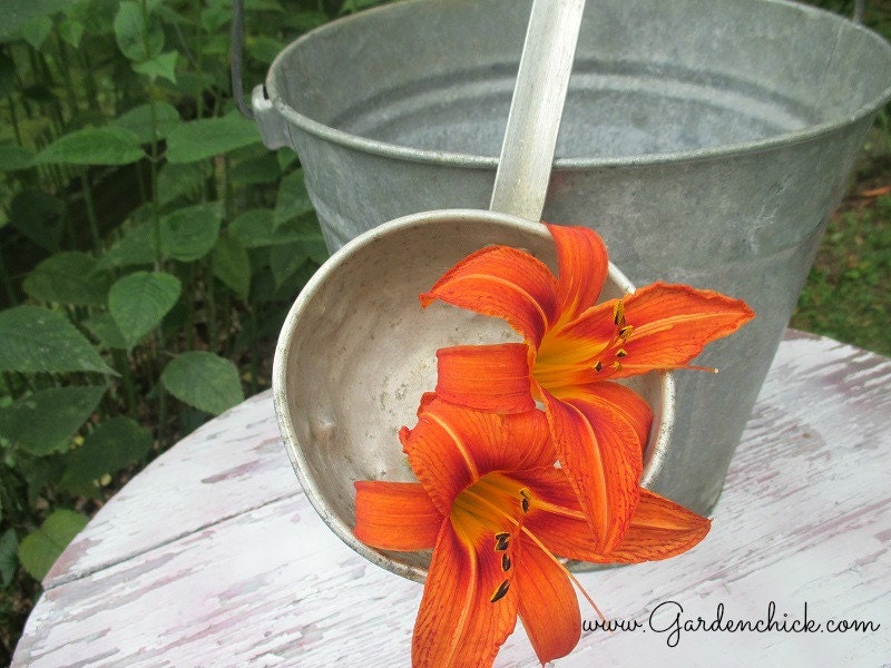 Galvanized Bucket and Dipper by Gardenchick on Etsy