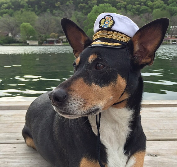 Captain hat for dogs and cats