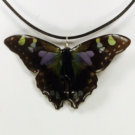 Real Butterfly Necklace Purple Spotted Swallowtail by Studio9ten