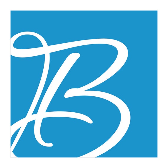 Vinyl Wall Decal Squeegee Tool