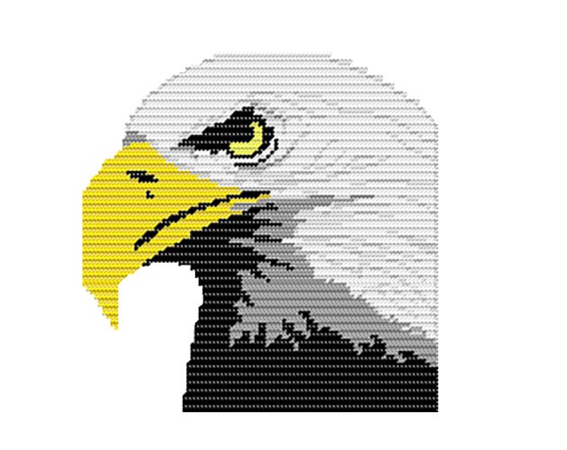 Plastic Canvas Majestic Eagle Wall Hanging...PDF