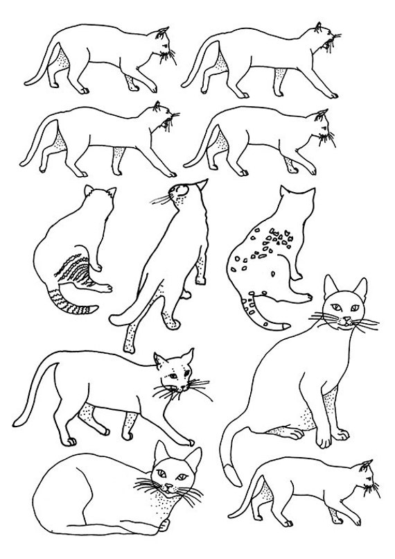 cats coloring sheets animals cats instant printable