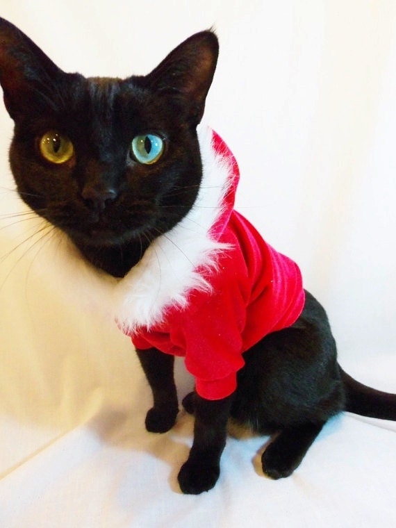 Cat Clothes Christmas Red Velour Cat Hoodie by RockinDogsCoolCats