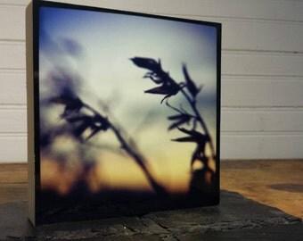 Dusk. Original fine art print by Desmal.