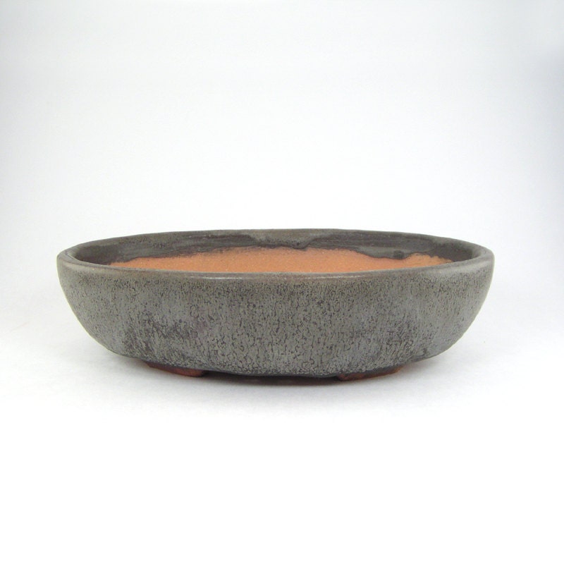  Oval  Bonsai  Planter Gray Bonsai  Pot  Charcoal Shallow