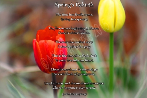 Spring's Rebirth Nature Poem About Life by MikeMBurkeDesigns