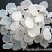 BEACH BRIDE - White Sea Glass 50 pc - Genuine Beach Tumbled - Hand Collected PS1859
