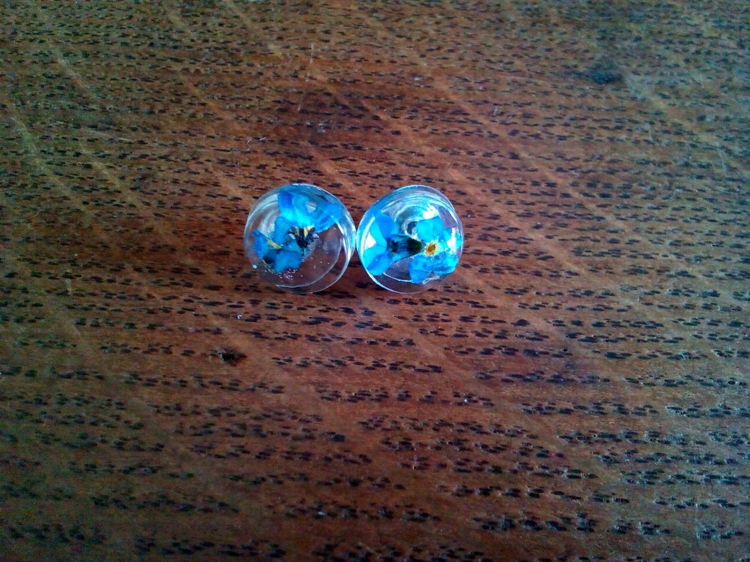 Small clear resin stud earrings with real dried
